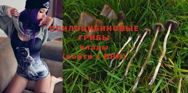крисы Алзамай