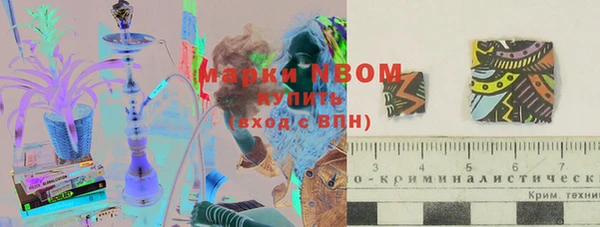 крисы Алзамай