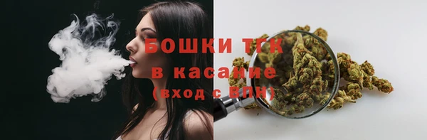 mdpv Осинники